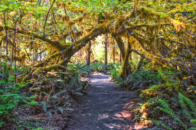 16 National Park Trails That Are Easy on Your Legs but Epic on Your Camera Roll