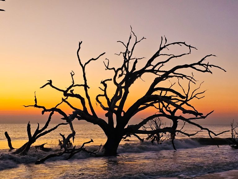 17 Beautiful Places in Georgia That Make the Case for It Being the South’s Best-Kept Secret