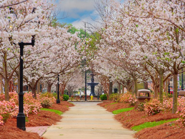 17 Stunning Places to Visit in Georgia That Prove the State Is Seriously Overlooked