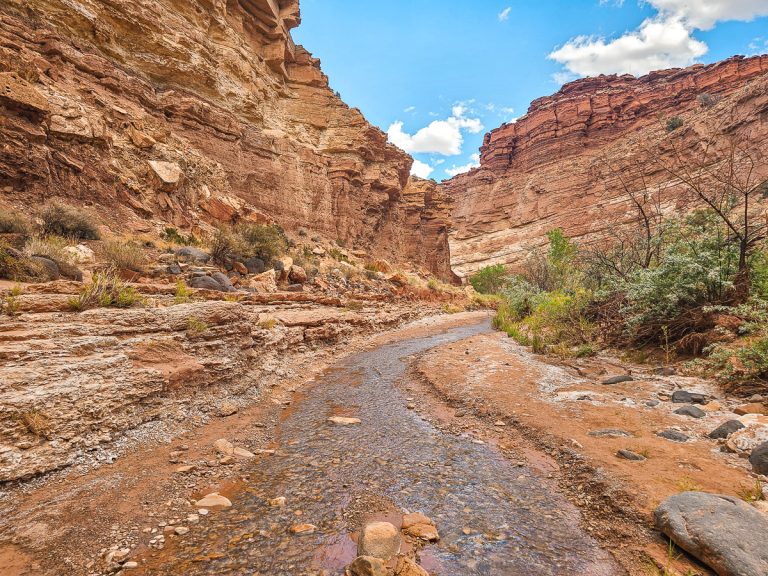 How to Hike the Sulphur Creek Top Down Trail in Capitol Reef National Park