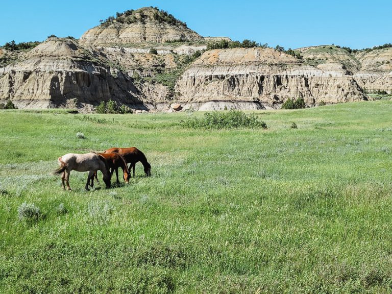 The National Park You Visit Without Expectations — and Leave Impressed