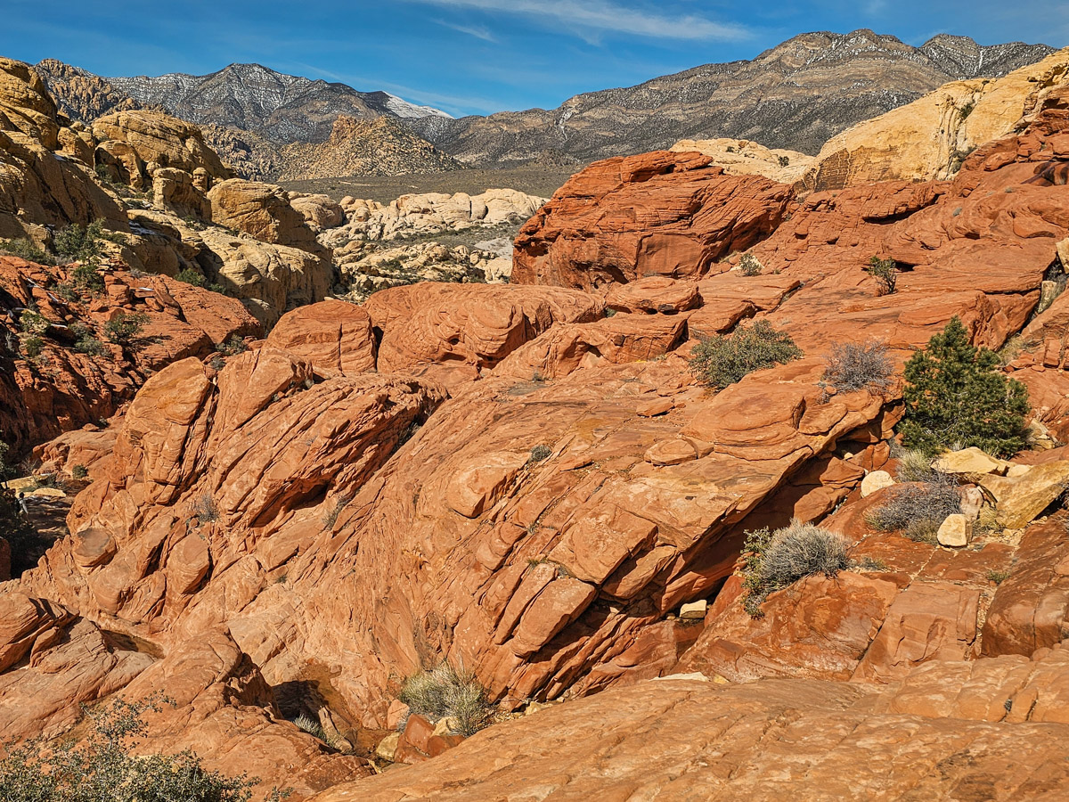 Red Rocks Terrain Just 30 Minutes From the Las Vegas Strip, These Red Rock Trails Feel a ...